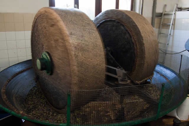 Una macchina per produrre in casa l olio extravergine d oliva